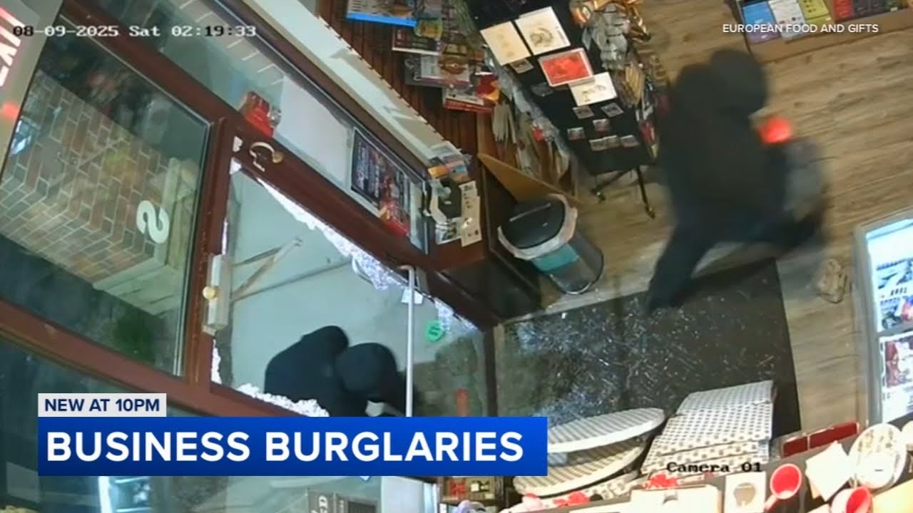 Small business burglary spree caught on video in north suburbs: 'Frustrating and sad'